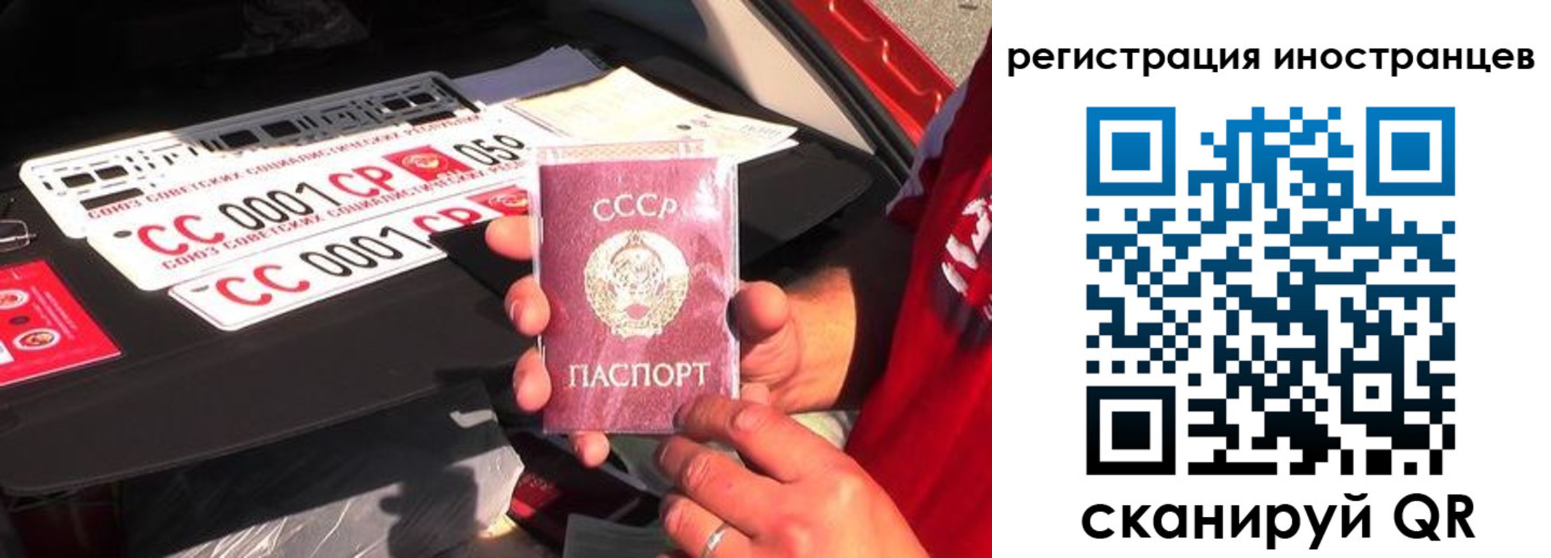 прописка гарантия в Красновишерске